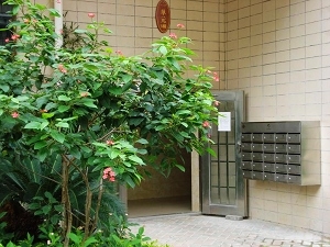 实景9