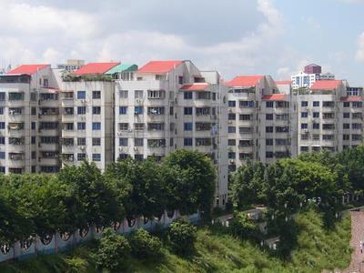 比华利山庄3