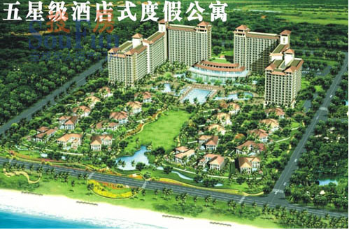 实景图1