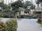 南枫·悦海度假公寓