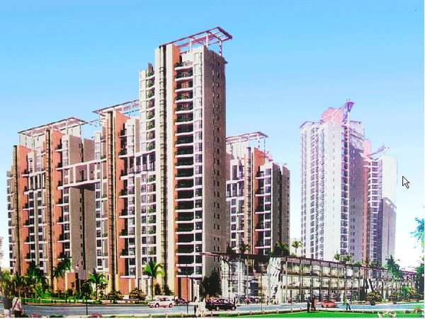 实景图4