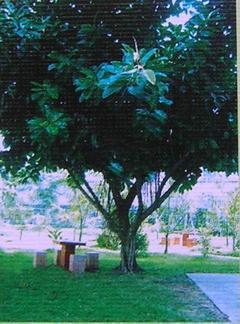 金孚苑实景