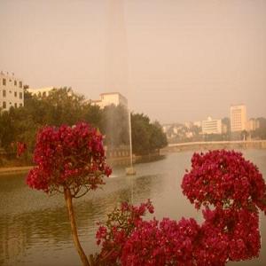 水晶国际佳苑 周边环境