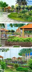 美丽沙花园