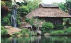 丽园春晓