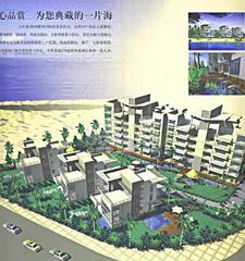 阳光海岸线
