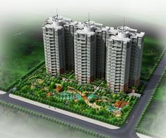 万泉丽景