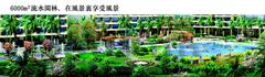 阳光棕榈湾