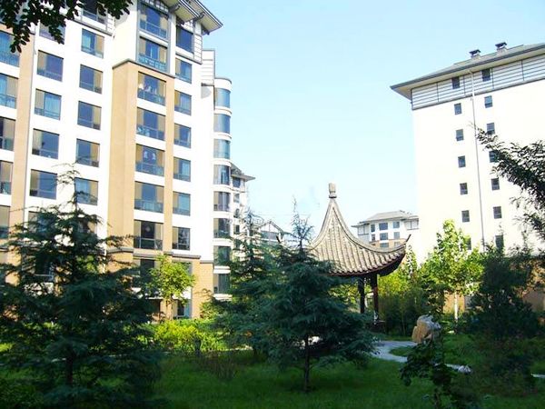 水岸长桥=实景图2