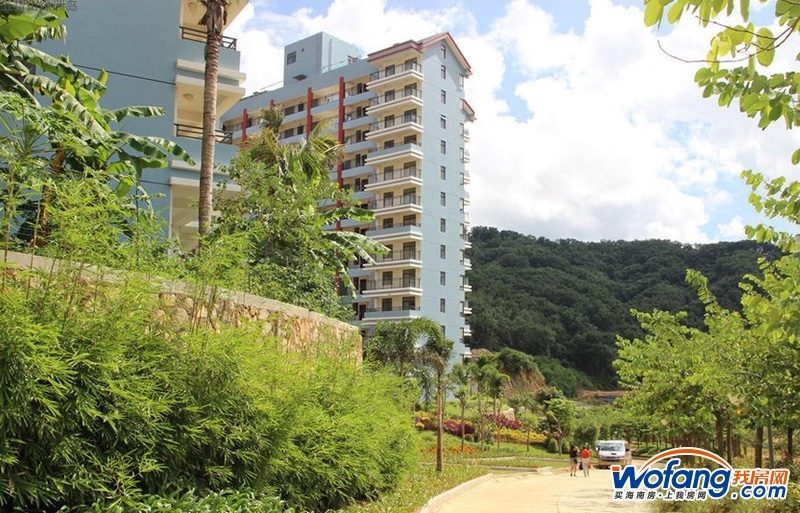 五指山绿洲岛