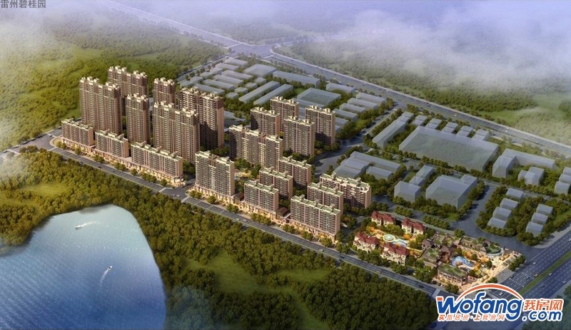 雷州碧桂园鸟瞰图