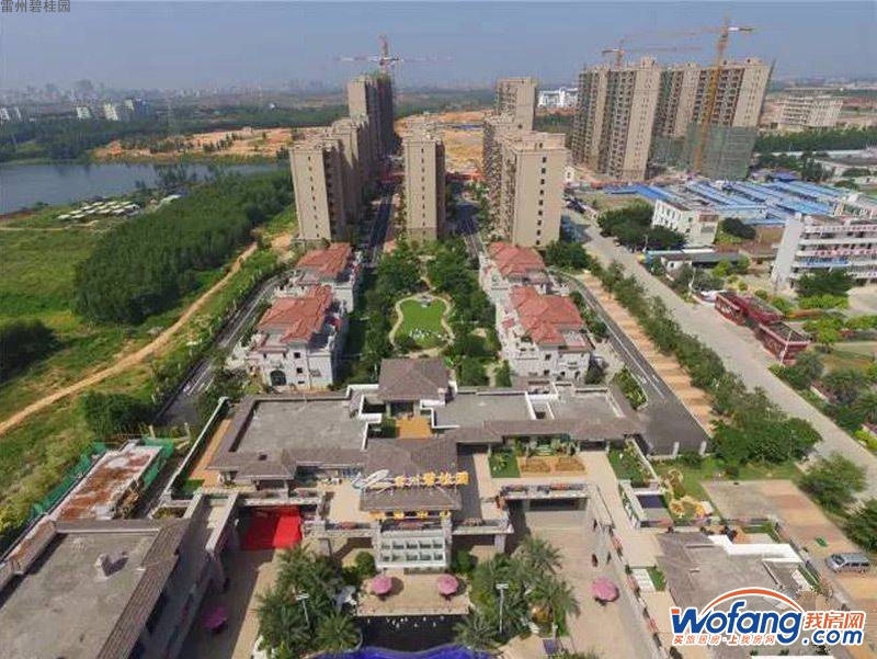 雷州碧桂园实景图