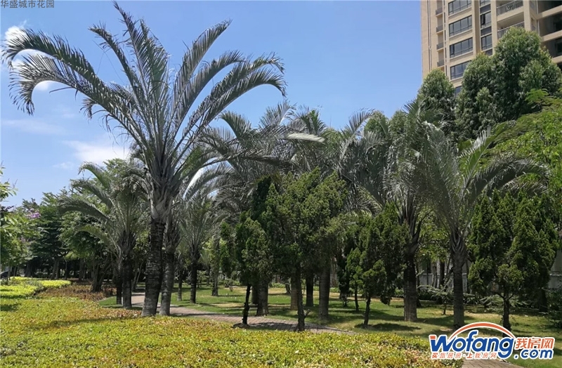 华盛城市花园实景图