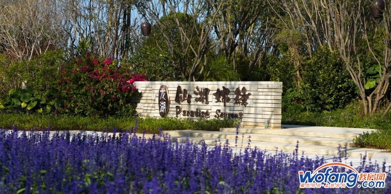仙湖锦绣实景图
