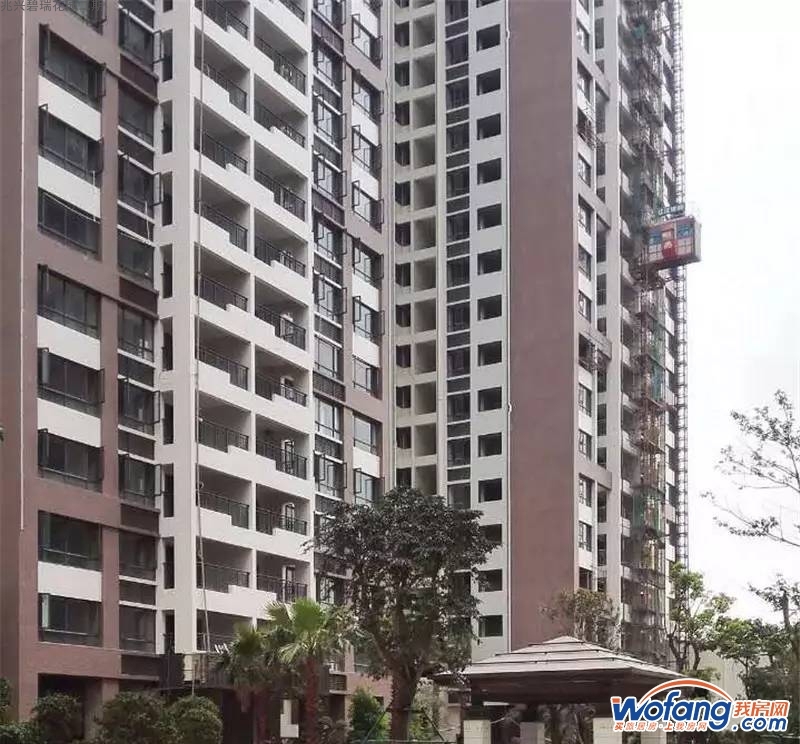 兆兴碧瑞花园二期实景图