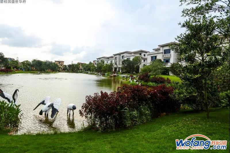 碧桂园盛世华府实景图