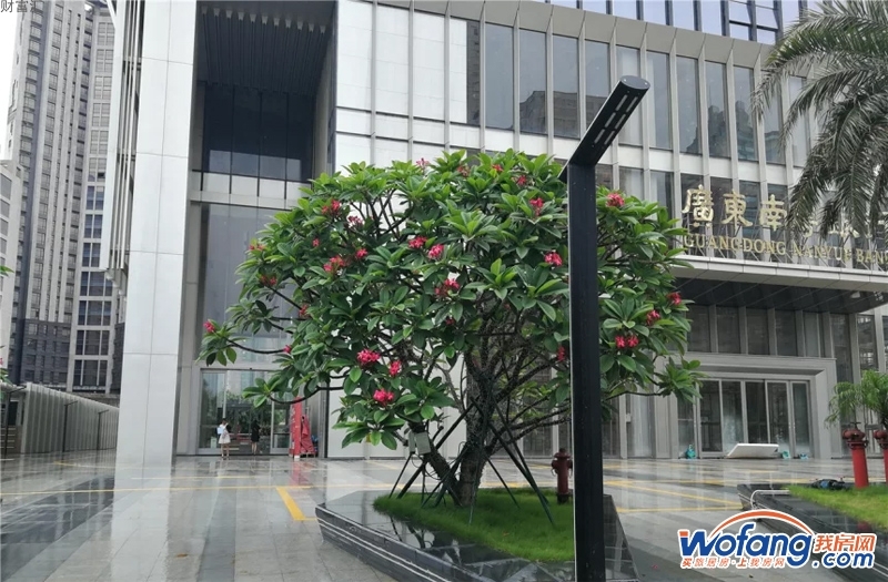财富汇实景图