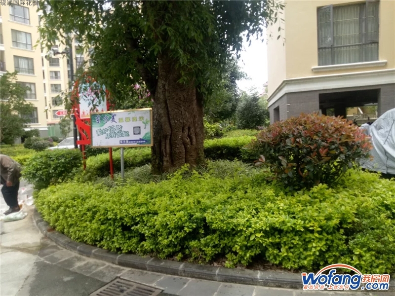 砚湖国际花园实景图