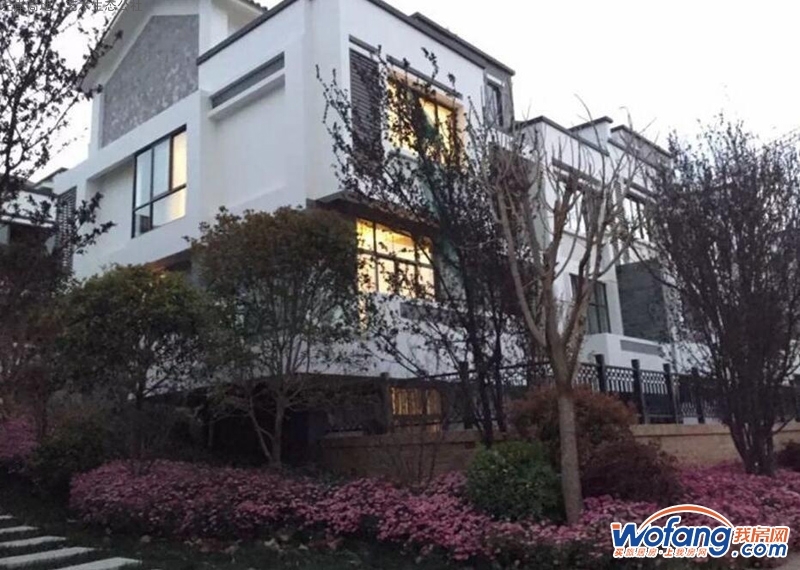 左岸高地·艺术生态公社实景图