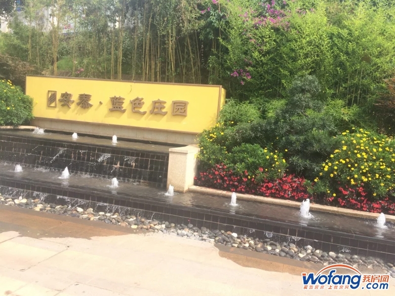 蓝色庄园实景图