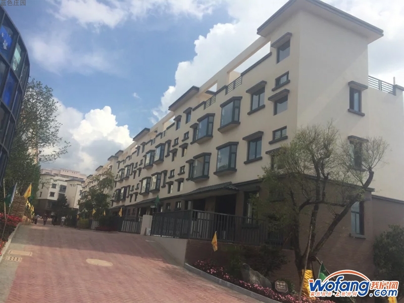 蓝色庄园实景图
