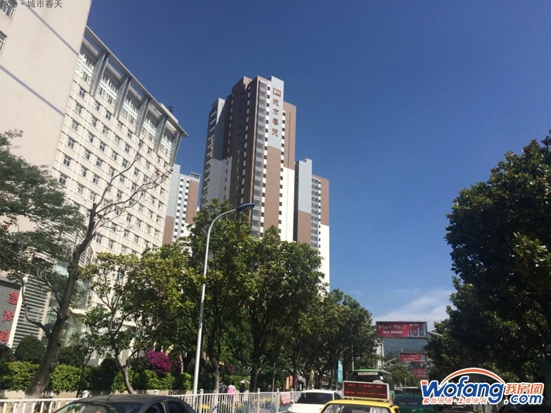 纳思·城市春天实景图