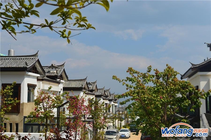 大理悦山海实景图