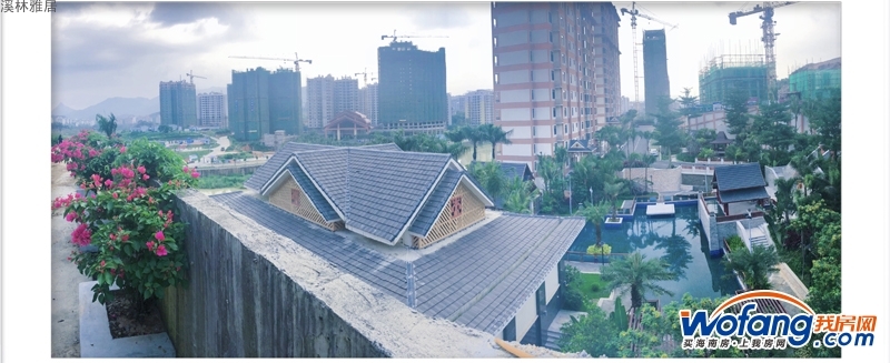 溪林雅居实景图