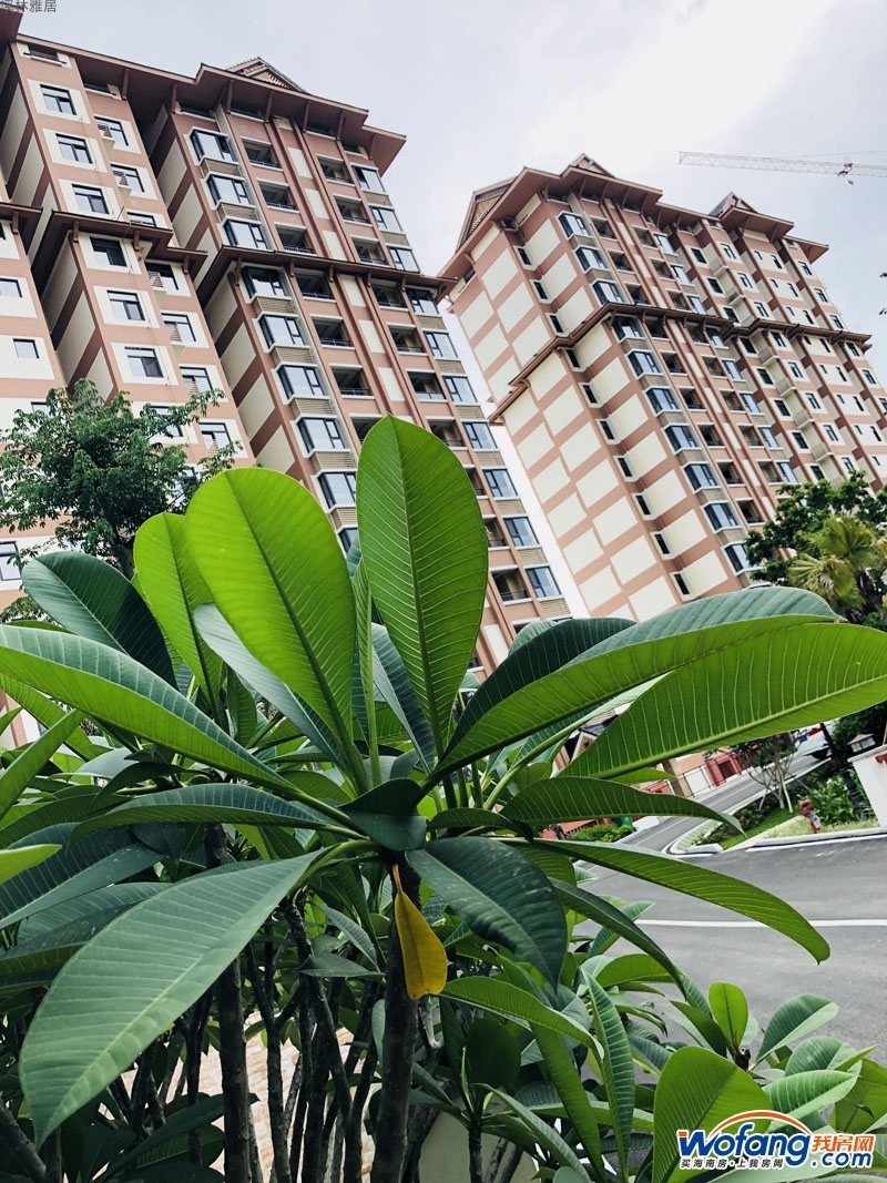 溪林雅居实景图