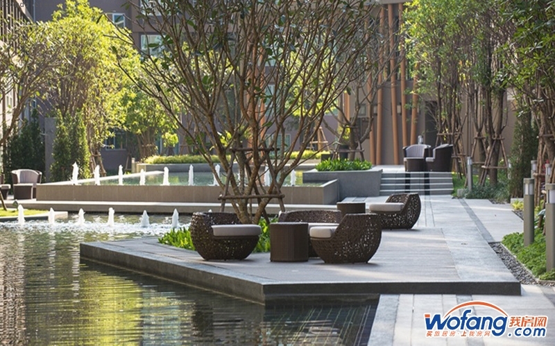 Dcondo creek实景图