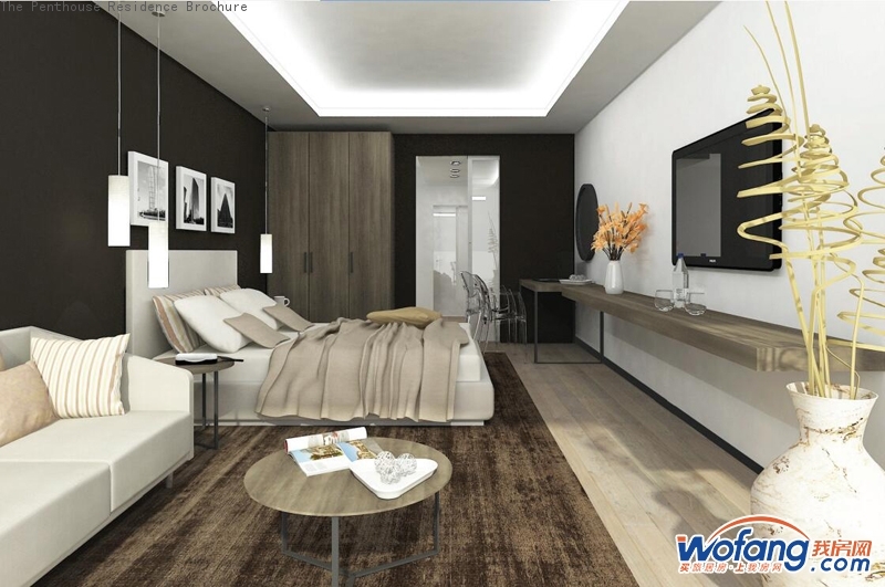 The Penthouse Residence Brochure样板间