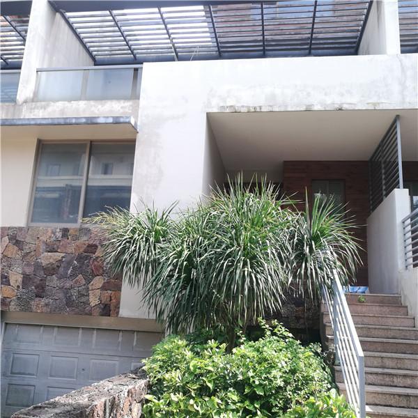 观海台一号二手房_海口观海台一号二手房出售