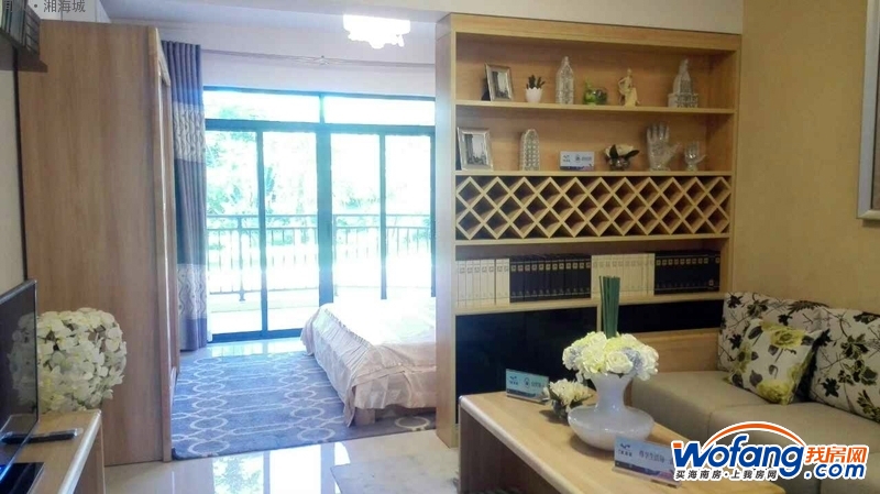 文昌同人湘海城精装一居室现房51平44万 户型